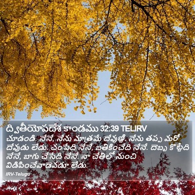 ద్వితీయోపదేశ కాండము 32:39 TELIRV Bible Verse Image