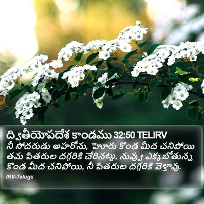 ద్వితీయోపదేశ కాండము 32:50 TELIRV Bible Verse Image