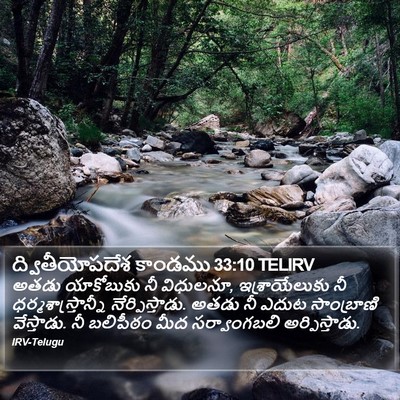 ద్వితీయోపదేశ కాండము 33:10 TELIRV Bible Verse Image