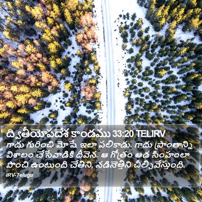 ద్వితీయోపదేశ కాండము 33:20 TELIRV Bible Verse Image