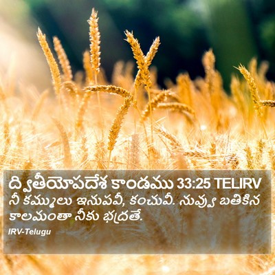 ద్వితీయోపదేశ కాండము 33:25 TELIRV Bible Verse Image