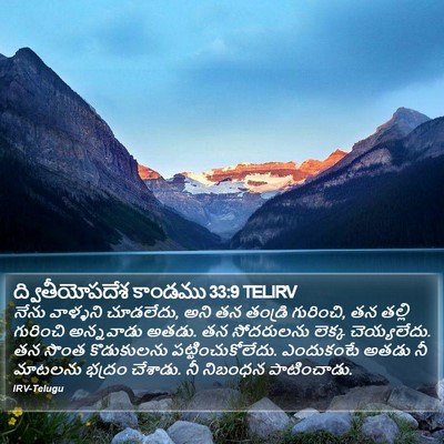 ద్వితీయోపదేశ కాండము 33:9 TELIRV Bible Verse Image
