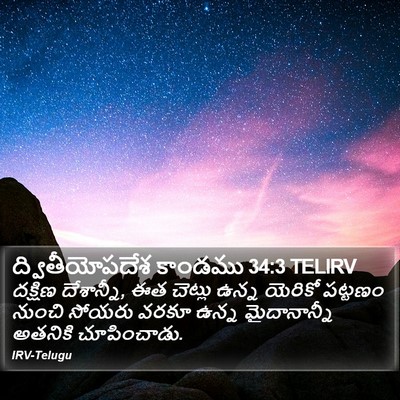 ద్వితీయోపదేశ కాండము 34:3 TELIRV Bible Verse Image