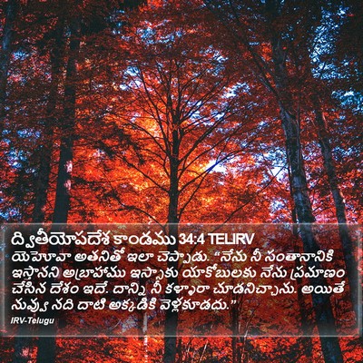 ద్వితీయోపదేశ కాండము 34:4 TELIRV Bible Verse Image