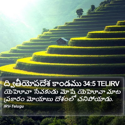 ద్వితీయోపదేశ కాండము 34:5 TELIRV Bible Verse Image
