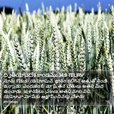 ద్వితీయోపదేశ కాండము 34:9 TELIRV Bible Verse Image