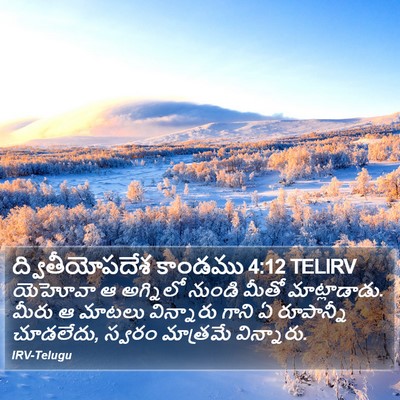 ద్వితీయోపదేశ కాండము 4:12 TELIRV Bible Verse Image