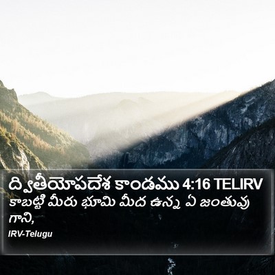 ద్వితీయోపదేశ కాండము 4:16 TELIRV Bible Verse Image