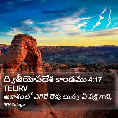 ద్వితీయోపదేశ కాండము 4:17 TELIRV Bible Verse Image