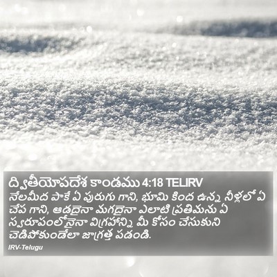 ద్వితీయోపదేశ కాండము 4:18 TELIRV Bible Verse Image