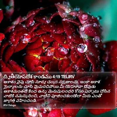 ద్వితీయోపదేశ కాండము 4:19 TELIRV Bible Verse Image