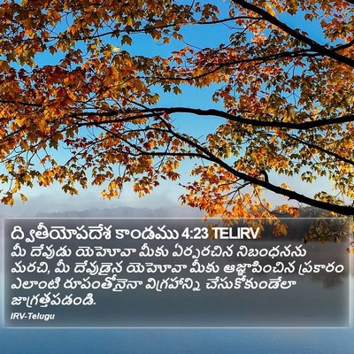 ద్వితీయోపదేశ కాండము 4:23 TELIRV Bible Verse Image