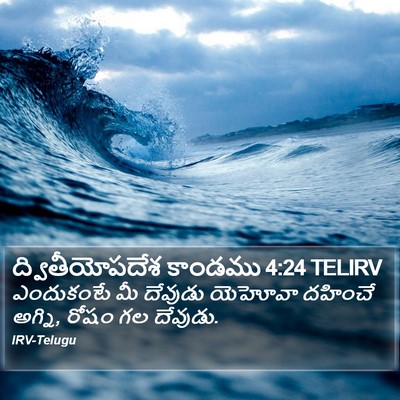 ద్వితీయోపదేశ కాండము 4:24 TELIRV Bible Verse Image