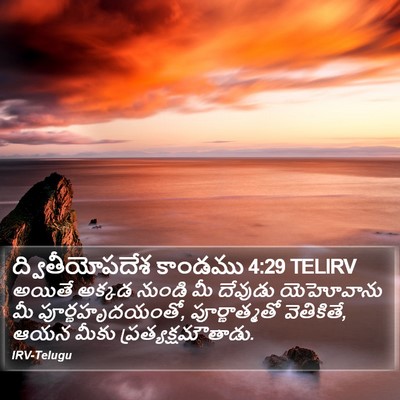 ద్వితీయోపదేశ కాండము 4:29 TELIRV Bible Verse Image