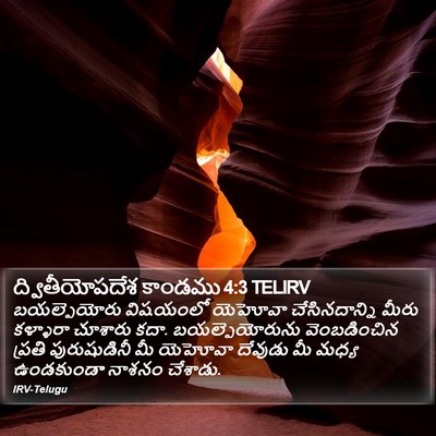 ద్వితీయోపదేశ కాండము 4:3 TELIRV Bible Verse Image