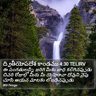 ద్వితీయోపదేశ కాండము 4:30 TELIRV Bible Verse Image