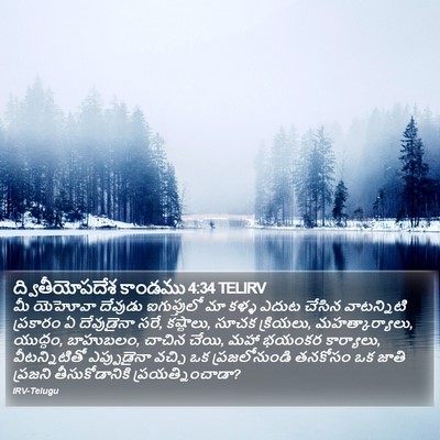 ద్వితీయోపదేశ కాండము 4:34 TELIRV Bible Verse Image