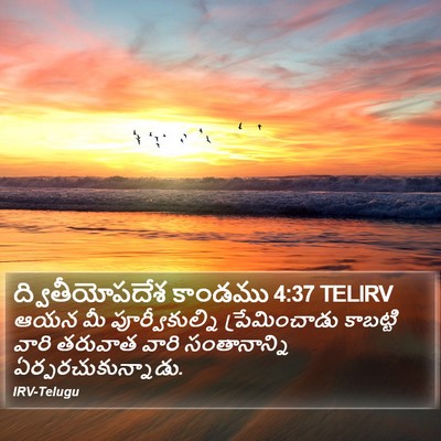 ద్వితీయోపదేశ కాండము 4:37 TELIRV Bible Verse Image