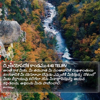 ద్వితీయోపదేశ కాండము 4:40 TELIRV Bible Verse Image