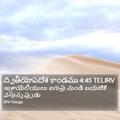 ద్వితీయోపదేశ కాండము 4:45 TELIRV Bible Verse Image