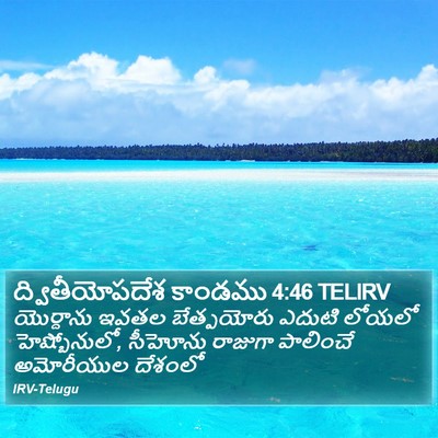 ద్వితీయోపదేశ కాండము 4:46 TELIRV Bible Verse Image