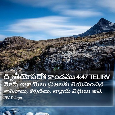 ద్వితీయోపదేశ కాండము 4:47 TELIRV Bible Verse Image
