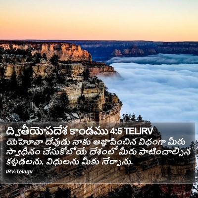ద్వితీయోపదేశ కాండము 4:5 TELIRV Bible Verse Image