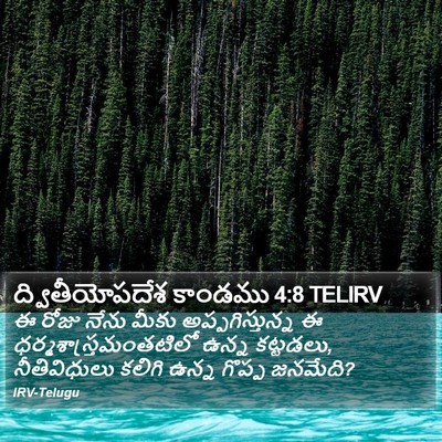 ద్వితీయోపదేశ కాండము 4:8 TELIRV Bible Verse Image