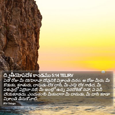 ద్వితీయోపదేశ కాండము 5:14 TELIRV Bible Verse Image
