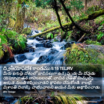 ద్వితీయోపదేశ కాండము 5:15 TELIRV Bible Verse Image