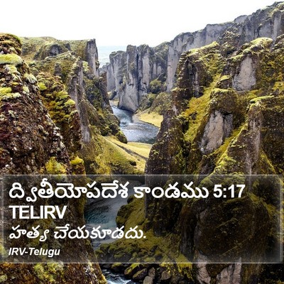 ద్వితీయోపదేశ కాండము 5:17 TELIRV Bible Verse Image