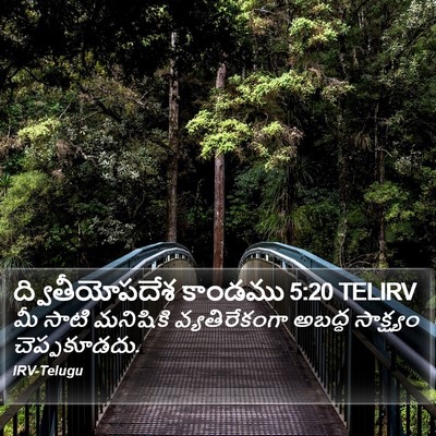 ద్వితీయోపదేశ కాండము 5:20 TELIRV Bible Verse Image