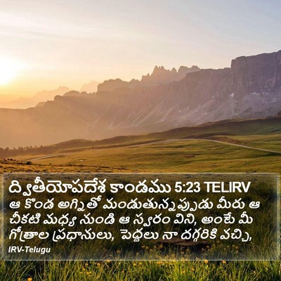 ద్వితీయోపదేశ కాండము 5:23 TELIRV Bible Verse Image