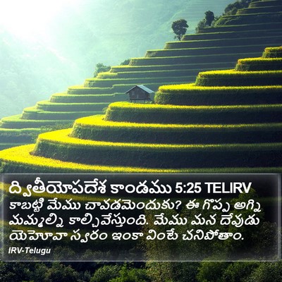 ద్వితీయోపదేశ కాండము 5:25 TELIRV Bible Verse Image