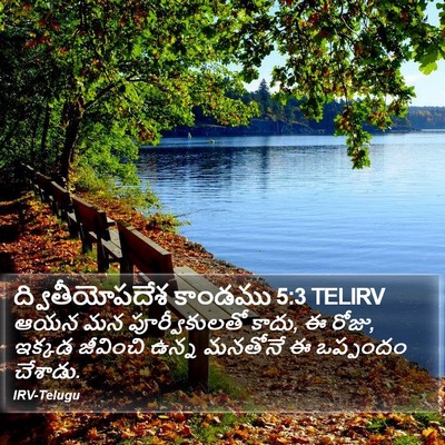 ద్వితీయోపదేశ కాండము 5:3 TELIRV Bible Verse Image