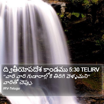 ద్వితీయోపదేశ కాండము 5:30 TELIRV Bible Verse Image