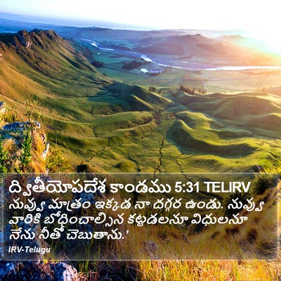ద్వితీయోపదేశ కాండము 5:31 TELIRV Bible Verse Image