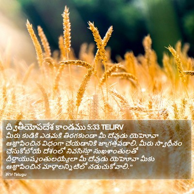 ద్వితీయోపదేశ కాండము 5:33 TELIRV Bible Verse Image