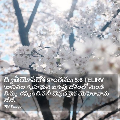 ద్వితీయోపదేశ కాండము 5:6 TELIRV Bible Verse Image