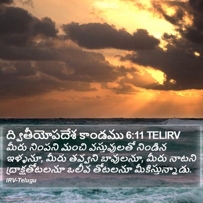 ద్వితీయోపదేశ కాండము 6:11 TELIRV Bible Verse Image