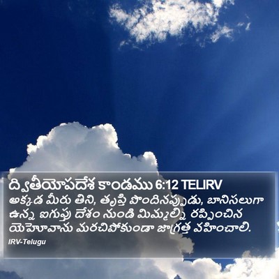 ద్వితీయోపదేశ కాండము 6:12 TELIRV Bible Verse Image