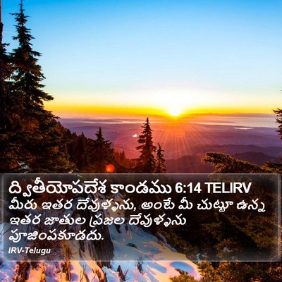ద్వితీయోపదేశ కాండము 6:14 TELIRV Bible Verse Image