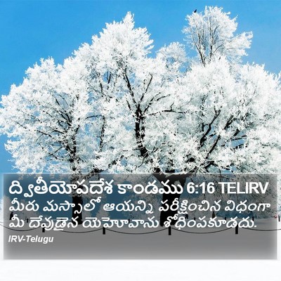 ద్వితీయోపదేశ కాండము 6:16 TELIRV Bible Verse Image