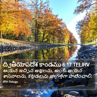 ద్వితీయోపదేశ కాండము 6:17 TELIRV Bible Verse Image