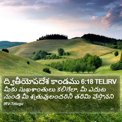 ద్వితీయోపదేశ కాండము 6:18 TELIRV Bible Verse Image