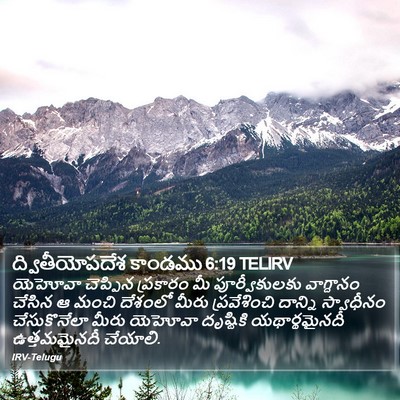 ద్వితీయోపదేశ కాండము 6:19 TELIRV Bible Verse Image