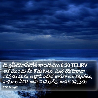 ద్వితీయోపదేశ కాండము 6:20 TELIRV Bible Verse Image