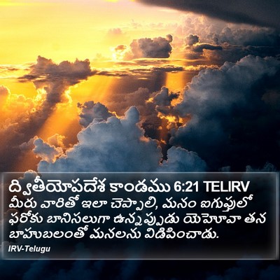 ద్వితీయోపదేశ కాండము 6:21 TELIRV Bible Verse Image