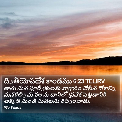 ద్వితీయోపదేశ కాండము 6:23 TELIRV Bible Verse Image