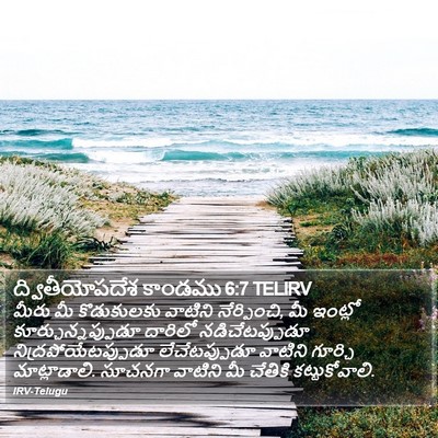 ద్వితీయోపదేశ కాండము 6:7 TELIRV Bible Verse Image